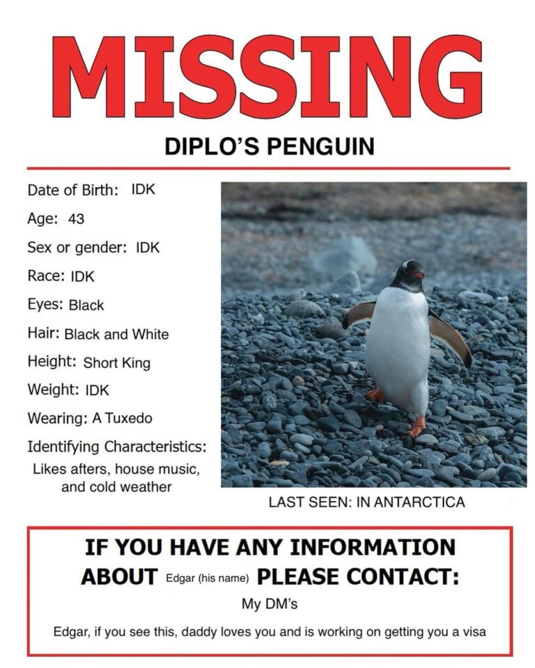 Diplo Instagram - I didn’t want to tell everyone but my PR team said I should address it. I did adopt a penguin while in Antarctica but the ops wouldn’t let me take him through Chilean immigration I did a 90 minute set on a helipad in his honor, pls go watch it and drop a 🐧 below to let him know daddy still cares about him