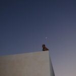 Dixie D'Amelio Instagram - ▼・ᴥ・▼ Cabo San Lucas, Mexico