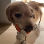Dixie D'Amelio Instagram - sun day fun day