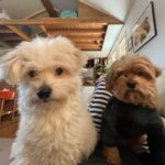 Do Yeon-jin Instagram - Syojipet🫶🏻
