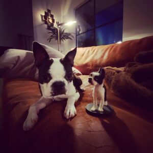 Dominic Howard Instagram - Floyd likes his mini me. He said thanks to the Argentinian fan who made it for him. 🐾