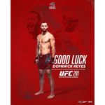 Dominick Reyes Instagram - Repost from @stonybrookfb • Can't wait to see our guy @domreyes24 do his thing at the @thegarden tomorrow night at @ufc 281 💥 🌊🐺 x #HOWL
