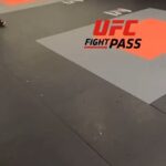 Dominick Reyes Instagram - Drillers make killers! @turmanmma @teixeirammaandfitness #brotherylove #titanic #icanfly #funtimes #dontletmego #illneverletyougo #ufc281 #training #danbury #foliage @tikighosn @upgrademg
