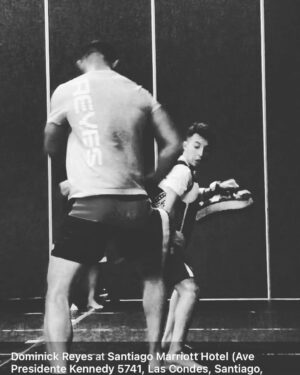 Dominick Reyes Instagram - 5 years ago. #dogdays #ufcchile #working