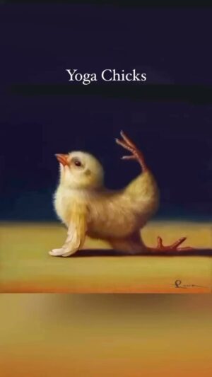 Dominick Reyes Instagram - Yoga Chicks 🐥😂

 @luciaheffernan⁠
📌 TAG a #design 
© Photo owners | 
📣 #MesmerizeD⁠
⁠
#yoga #art
#chicks #music