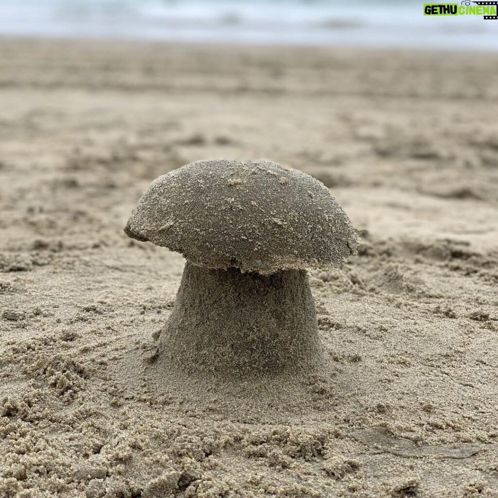 Don Shank Instagram - Ugh, mushrooms? This beach is gross.