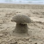 Don Shank Instagram – Ugh, mushrooms? This beach is gross.