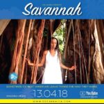 Donisha Rita Claire Prendergast Instagram – Today is the day! Give Thanks for all the support coming in from far and near. @dsejamaica is proud to present ‘Savannah’ a love story between the country and city during these times of economic instability. Soundtrack settings from @theuprisingroots @billywilmot and more. The Jamaican film industry is experiencing some nice growth right now. All kinds of stories and conversations being ignited. Share with your family and friends. Stay tuned for interviews and feedback from cast and crew on @savannahseries.  Click website link to watch first episode. 💜🌺🙏🏾 #filmbuildscomeunity