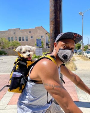 Dorian Missick Instagram - Morning bike ride with the family. 📸: @simonemissick  #dogsofinsta #FreshAirAintSoFreshAnymore