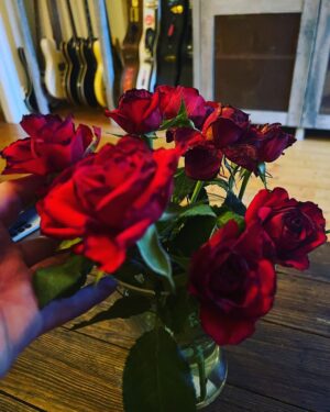 Dregen Instagram - Fick blomster av min kärlek. Kärlek är fan orubbat den hösta ligan. Bästa låten. Fetaste bandet. Största känslan. Och godaste maten. 
Tack @majsanlindberg ✖️♥️🌹