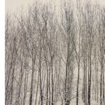 Ebru Ceylan Instagram -