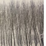 Ebru Ceylan Instagram -