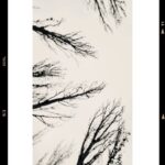 Ebru Ceylan Instagram -