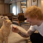 Ed Sheeran Instagram - Japan, I love you so much. Wel be back again soon. Taiwan next ! 📸 @marksurridge