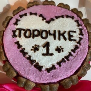 Egor Druzhinin Instagram - Вчера у Торы был первый день рождения. Спасибо Нике за то, что заботится о Торяше, как о дочке, и дарит ей безграничную материнскую любовь. Спасибо Сашуле, Тишуле и Платоше, за заботу о сестричке. Спасибо @shelter_tails за то, что познакомили нас с Торой. Спасибо @rekardych за то, что познакомил нас с Настей и @shelter_tails :-) Спасибо @sohonoho за то, что удочерили Торину близняшку Липу (Либи). И спасибо сочинским кулинарам, влюбленных в собак @petsburg_  Они настоящие волшебники!!! Тортик исчез за секунды:-) #тора #торасобакаегора #торазагадалажелание