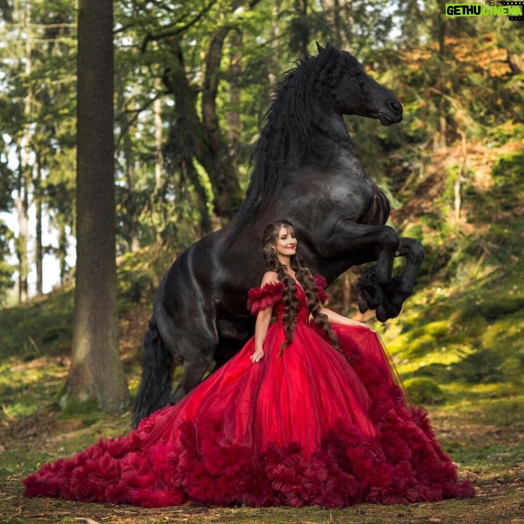 Eliška Štefanicová Instagram - #wildbeauty ❤️ #princess#princessdress#dress#dressoftheday#dresses#dresslover#red#reddress#redlips#horse#horsepower#horselove#horselover#horselife#horses#horseshow#horseofinstagram#horsephotographer#horsesofinstagram#photography#model#beauty#shooting#photo#photography#photooftheday#friesian#girl#girls#longhair