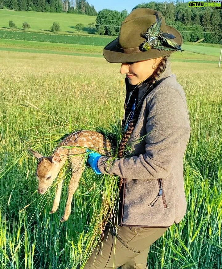 Eliška Štefanicová Instagram - #zachranzvirepredsekackou 🙏 #bohemialov#chevaliersweden#hunt#hunting#huntinggirl#huntingwomen#outdoor#outdoorwoman#outdoorgirl#outdoorlife#nature#forest#forestanimals#wild#wildlife#hunters#hunter#huntress#czechrepublic#czechhunter#czechgirl#myslivost#gamemanagement#polovanie#huntinglife#loveanimals#help#animals#animal