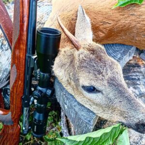 Eliška Štefanicová Instagram - Unicorn 🦄

#sellierbellot#308win#bohemialov#waidmannsheil#kahlesoptics#hunt#hunting#huntinggirl#huntingwomen#outdoor#outdoorwomen#outdoorgirl#hunters#hunter#czechhunter#huntress#girlwhoshoot#girlhunttoo#girlwhohunt#girlpower#huntingphoto#huntinglife#lovehunting#huntingtrophy#huntinggear#huntingseason#gamemanagement#franchifeelsrigh#roedeerhunting#roedeer