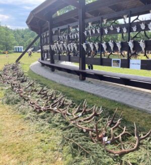 Eliška Štefanicová Instagram - Armáda, lesnictví a myslivost na Libavé 🦌

#libava#vls#hunt#hunting#trophy#army#forestry#gamemanagement#myslivost#huntinglife#huntingfriends#huntingwomen#huntinggirl#hunter#huntress#hunters#huntingtrophy#huntingphoto#girlwhoshoot#girlhunttoo#girlwhohunt#girlpower#lovehunting#huntinggear#huntingseason#deer#reddeerhunting#roedeer#antlers#wild