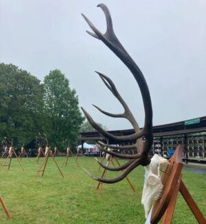 Eliška Štefanicová Instagram - Armáda, lesnictví a myslivost na Libavé 🦌

#libava#vls#hunt#hunting#trophy#army#forestry#gamemanagement#myslivost#huntinglife#huntingfriends#huntingwomen#huntinggirl#hunter#huntress#hunters#huntingtrophy#huntingphoto#girlwhoshoot#girlhunttoo#girlwhohunt#girlpower#lovehunting#huntinggear#huntingseason#deer#reddeerhunting#roedeer#antlers#wild