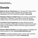 Elif Şafak Instagram - Sorrow, immense sorrow. The international medical humanitarian organisation Doctors Without Borders has around 300 people on the ground trying to help civilians and especially children in #Gaza. They are running out of all supplies. Massive humanitarian crisis evolving in front of our eyes. My heart hurts. 📚📚📚