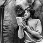 Elif Şafak Instagram - Keep reading… books are out home, stories are what we are all made of, and Storyland is our motherland… I love books and I love elephants, so I couldn’t resist sharing this lovely photo by @waterstones #elephantsworld #saveelephants #bookloversworld #bookishlove #waterstones #thearchitectsapprentice #booksandnature 📚📚📚 kitaplar bize yuva, kitaplar yurt… memleketin, bazen de hikayeler diyarı, Kaf dağının ardında… #kitaptavsiyeleri #ustamveben #kitapsevdası #kitapkulübü #kitaplarsevdamız #kitapaşkına #kitapsızasla