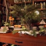 Elif Şafak Instagram - Books and plants… this is a bit like my writing desk, except mine is more chaotic and less romantic. The crucial thing is to have “a room of one’s own”, and if you cannot have that, a table or a desk or a corner of one’s own. This beautiful video by @rank.sss 📚📚📚 kitaplar ve bitkiler…. yazı masam buna benziyor ama tabi benimki karman çorman ve çok daha az romantik…. Kendine ait bir oda, yoksa eğer, kendine ait bir masa