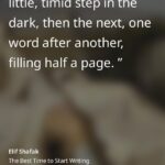 Elif Şafak Instagram - Do you have a story inside you that you’ve always wanted to write, but cannot even dare to start because you think or you fear that it might be “too late”, that you might be “too old” to embark on a literary journey at your age? Or perhaps people have told you that you are “too young” and “too immature” to write fiction and that you should wait. Don’t listen to them. Just write. This essay is for you. My new Substack piece is about the best time to start writing fiction. The link is in the bio. If you subscribe you will receive these essays automatically delivered into your email address. #writersandpoets #writersaroundtheworld #writingmotivation #elifshafak #theislandofmissingtrees #thefortyrulesoflove #thebastardofistanbul #iwritewhatyoufeel #fictionwriting #motivateyourmind 📚📚📚 hep yazmak istediğiniz, dile getirmek istediğiniz bir hikaye var mı içinizde saklı? Belki defalarca yazmak istediniz, ama cesaretiniz kırıldı, kimse sizi yüreklendirmedi, yazmaya teşvik etmedi. Belki size “çok yaşlı” olduğununuz söylendi ya da “çok genç”… dinlemeyin onları. Yazmaya başlamak için en mükemmel an şu an, şimdi. Bu yazı hep yazmak isteyip de cesaret edemeyenler için. Link biyografide mevcut, Substack platformunda bundan sonra yazacağım yazılara abone olarak kolaylıkla ulaşabilirsiniz