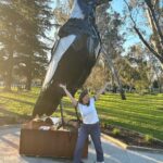 Ella Hooper Instagram - I got a bit excited about Euroa’s newest asset, this giant magpie - or should I say - the Big Magpie! As a touring musician we see all manner of tourist trap big things™️ and they are ohhhh so mostly woeful. Funky mouldy battered and bruised. Misshapen and oft not instantly recognisable as the thing they apparently are! (Peach, Guitar, Koala, I’m looking at you. Banana, Prawn, you’ll keep..) But LOOK at this glorious maggie! He/She is shining proud! Okay. That’s enough civic revelry for me for one day. Awesome gig last night by the way. Thank you for showing out my beautiful North East posse!!! It was such a pleasure to celebrate the Mill’s 150th bday w the awesome people at @northern_republic_euroa ❤️❤️❤️ FOOTNOTE: sculpture by local Nth East artist @tanksartgallery / Tank and Tobin sculpture, check ‘em out! Bravo fellas!!!