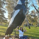 Ella Hooper Instagram - I got a bit excited about Euroa’s newest asset, this giant magpie - or should I say - the Big Magpie! As a touring musician we see all manner of tourist trap big things™️ and they are ohhhh so mostly woeful. Funky mouldy battered and bruised. Misshapen and oft not instantly recognisable as the thing they apparently are! (Peach, Guitar, Koala, I’m looking at you. Banana, Prawn, you’ll keep..) But LOOK at this glorious maggie! He/She is shining proud! Okay. That’s enough civic revelry for me for one day. Awesome gig last night by the way. Thank you for showing out my beautiful North East posse!!! It was such a pleasure to celebrate the Mill’s 150th bday w the awesome people at @northern_republic_euroa ❤️❤️❤️ FOOTNOTE: sculpture by local Nth East artist @tanksartgallery / Tank and Tobin sculpture, check ‘em out! Bravo fellas!!!
