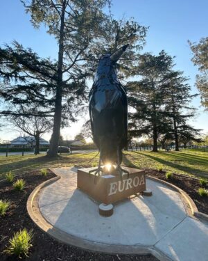 Ella Hooper Instagram - I got a bit excited about Euroa’s newest asset, this giant magpie - or should I say - the Big Magpie! As a touring musician we see all manner of tourist trap big things™️ and they are ohhhh so mostly woeful. Funky mouldy battered and bruised. Misshapen and oft not instantly recognisable as the thing they apparently are! (Peach, Guitar, Koala, I’m looking at you. Banana, Prawn, you’ll keep..) 
But LOOK at this glorious maggie! He/She is shining proud! Okay. That’s enough civic revelry for me for one day. Awesome gig last night by the way. Thank you for showing out my beautiful North East posse!!! It was such a pleasure to celebrate the Mill’s 150th bday w the awesome people at @northern_republic_euroa ❤️❤️❤️ FOOTNOTE: sculpture by local Nth East artist @tanksartgallery / Tank and Tobin sculpture, check ‘em out! Bravo fellas!!!
