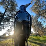 Ella Hooper Instagram - I got a bit excited about Euroa’s newest asset, this giant magpie - or should I say - the Big Magpie! As a touring musician we see all manner of tourist trap big things™️ and they are ohhhh so mostly woeful. Funky mouldy battered and bruised. Misshapen and oft not instantly recognisable as the thing they apparently are! (Peach, Guitar, Koala, I’m looking at you. Banana, Prawn, you’ll keep..) But LOOK at this glorious maggie! He/She is shining proud! Okay. That’s enough civic revelry for me for one day. Awesome gig last night by the way. Thank you for showing out my beautiful North East posse!!! It was such a pleasure to celebrate the Mill’s 150th bday w the awesome people at @northern_republic_euroa ❤️❤️❤️ FOOTNOTE: sculpture by local Nth East artist @tanksartgallery / Tank and Tobin sculpture, check ‘em out! Bravo fellas!!!