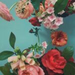 Ella Lee Instagram - Roses are red, Violets are blue. I’m bad at gardening And even worse at poetry. Yeah. . . . . . . . #pastelaesthetic #pastelflowers #flowerphotography #pinterest #rosesareredvioletsareblue