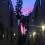 Ella Rumpf Instagram - 🎶Psychemagic presents magic sunset 🌅