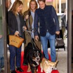 Ellen Hillingsø Instagram - Tak til alle, der kom forbi vores hundereception i dag 🐕🐾 Forlaget blev i dag fyldt med hunde i anledningen af udgivelsen af Hella Joof og Ellen Hillingsøs nye bog HUNDENS BOG. Hundene stillede op til billeder på den røde løber, hang ud i hundebaren og hyggede med de andre gæster. #hund #hunde #hellajoof #ellenhillingsø #doglover #dog