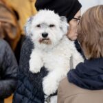 Ellen Hillingsø Instagram - Tak til alle, der kom forbi vores hundereception i dag 🐕🐾 Forlaget blev i dag fyldt med hunde i anledningen af udgivelsen af Hella Joof og Ellen Hillingsøs nye bog HUNDENS BOG. Hundene stillede op til billeder på den røde løber, hang ud i hundebaren og hyggede med de andre gæster. #hund #hunde #hellajoof #ellenhillingsø #doglover #dog