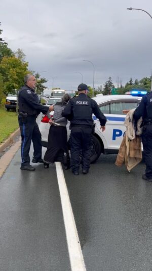 Elliot Page Instagram - Came to support Protect Eisner Cove Wetland and witnessed Darlene Gilbert of the Grassroots Grandmothers being arrested for protecting her rights and the land. Just like she did in our documentary “There’s Something in the Water”. @nsgov continues with back room deals at the expense of the environment and Indigenous rights. @protecteisnerwetland