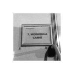 Ellise Chappell Instagram - My heart is full. Playing Morwenna has been a highlight of my life and I feel so lucky and proud to have been given the opportunity to portray her incredible story. Thank you to everyone who has loved her, I’m going to miss the Poldark lovefest so much but wowowow what an amazing cast, crew, production team and fan base. I’ve walked away with friends for life, and experiences I will never forget ♥️ MY HEART. IS. FULL. Poldark for the last time at 8:30pm tonight on BBC1 x I’m going to be a mess x @official_poldark @bbcone Cornwall