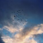 Ellise Chappell Instagram - improving with film!! 📸