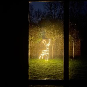 Ellise Chappell Instagram - Long-distance relationships can be difficult but we make it work 🐈

Happy Holidays! ♥️🌟🕯