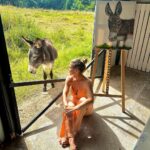 Elsa Pataky Instagram - Quiet afternoons at our little art studio. Donkey painted by Indi. 😉 Tardes de relax en nuestro pequeño estudio de arte. Burrito pintado@por Indi. 😉@gioseppo_official