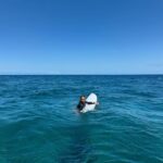 Elsa Pataky Instagram - Fiji family adventures 💛 @tavaruaislandresort @chrishemsworth