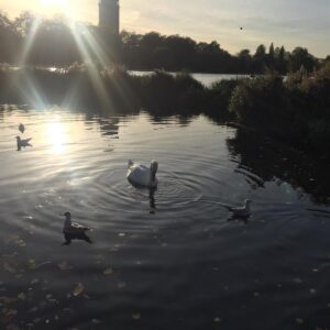 Elvin Aydoğdu Instagram - #nofilter #london #infantducksandthemother #sunshine