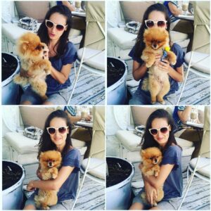 Elvin Aydoğdu Instagram - Resmen energizer...🐶 Literally energizer...🐶📸🎈#pomerianian #puppy #energizer #makesmesmile #dog #dolce