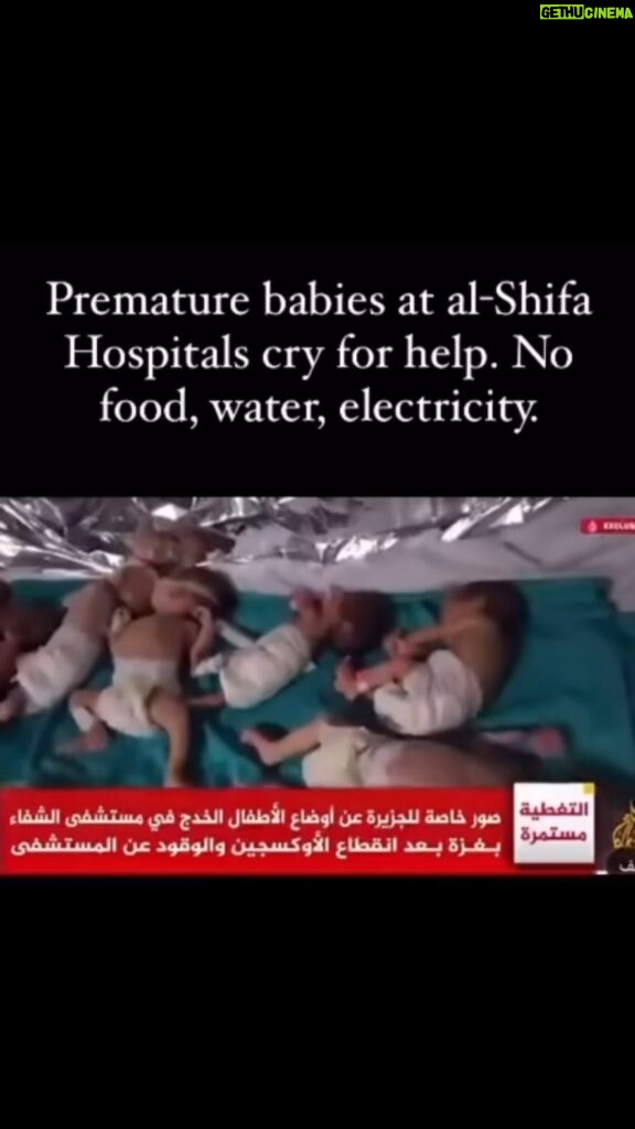 Eman El Assi Instagram - Oooh Sorry you’re tired of seeing it ?? They’re tired of living it 💔 Premature babies of Elshifah hospital they need help from our rulers… helloooooooo can you hear them #freepalestine #gaza 🖤🤍💚🔻 @unitednations @humanrightswatch where are you?????