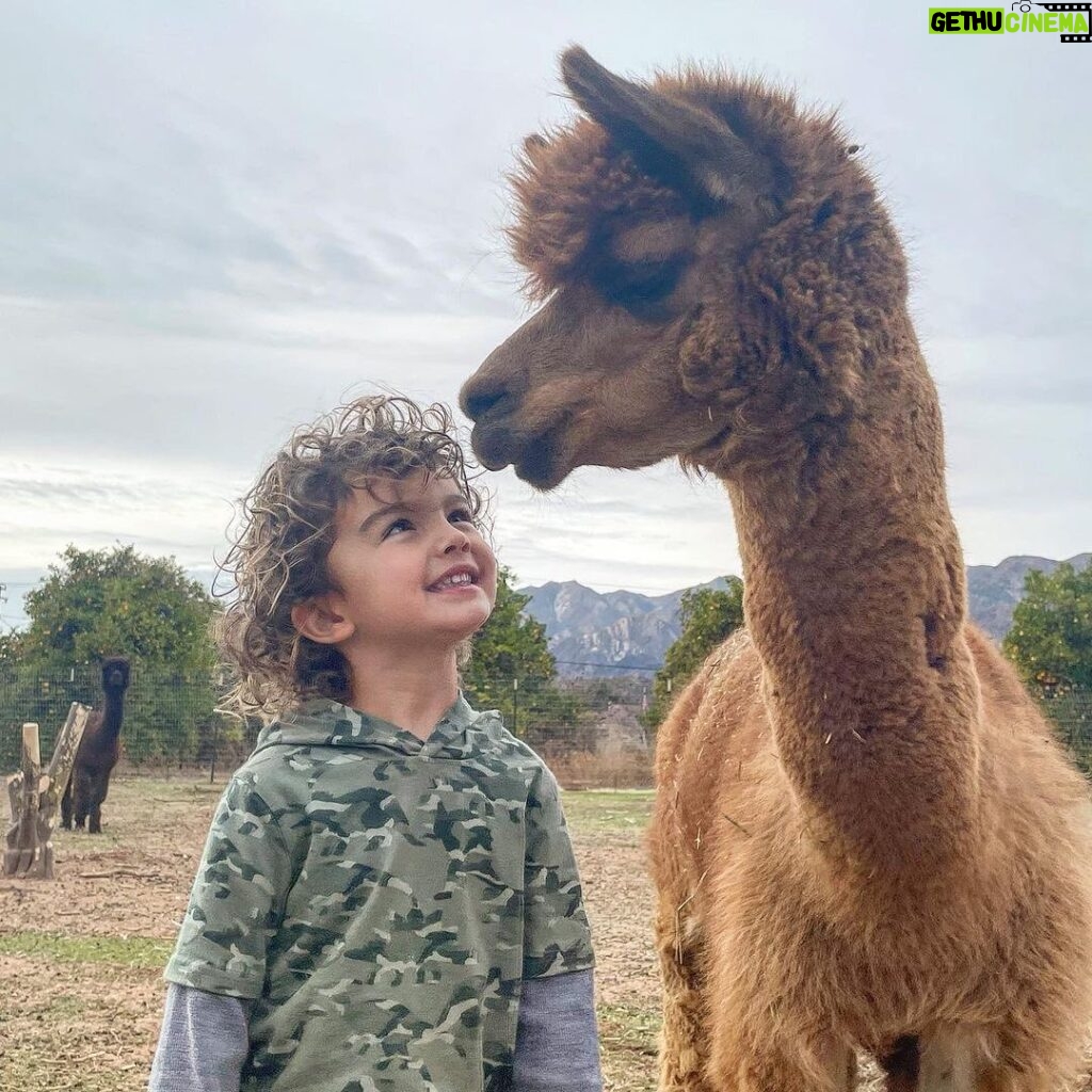 Emily Baldoni Instagram - 😂🥰 Repost from @justinbaldoni • Maxwell and Nathan. A love story in three acts. 👉🏼 👉🏼👉🏼 #hairtwins #dearmaxwell #animalrescue #happysunday #threeyearsold *Also check out the great work @thelittlefarminojai is doing. They are a non profit animal sanctuary saving abused and neglected animals.