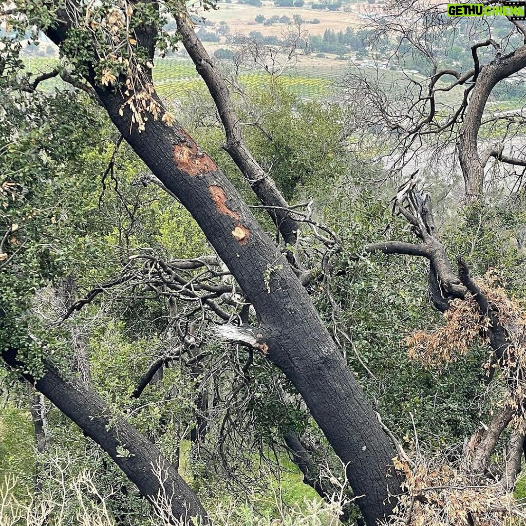 Emily Baldoni Instagram - On this #earthday we decided to take a morning hike. We thought these photos sum up the heartbreak of what we are doing to our planet. Just behind a gorgeous lookout lies a hideous oil well. Forcefully penetrating the earth and taking from it over and over again. If you look closely behind us you’ll also notice that the trees have black bark on them. Slowly recovering from the devastating #thomasfire a few years ago. This year in Southern California we are seeing unprecedented low levels of rain which is terrifying for coming fire season which the local fire department told us yesterday now lasts pretty much all year. And unfortunately, these are just a few examples of how we are knowingly continuing to destroy our beautiful home. If we want to have anything left of our planet to give to our children and grandchildren, we must work together and listen to the 97% of scientists who remind us that climate change is real. It’s not a hoax or some government conspiracy. It’s caused by us, but the good news is that it can also be fixed by us. Much of the damage can’t be undone, but we DO hold the power to reverse a lot of it. First we must come together and acknowledge the role we ALL play in it. #earthday #onlyoneplanet #onepeople