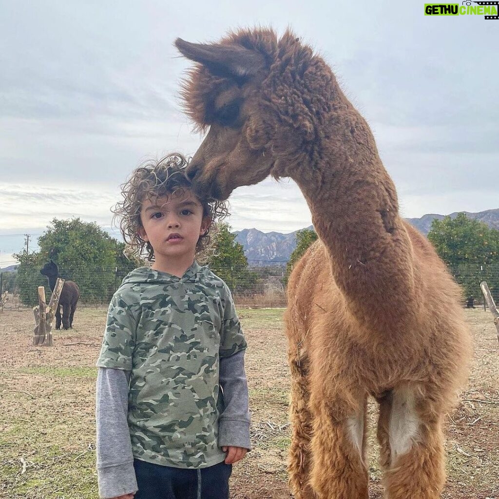 Emily Baldoni Instagram - 😂🥰 Repost from @justinbaldoni • Maxwell and Nathan. A love story in three acts. 👉🏼 👉🏼👉🏼 #hairtwins #dearmaxwell #animalrescue #happysunday #threeyearsold *Also check out the great work @thelittlefarminojai is doing. They are a non profit animal sanctuary saving abused and neglected animals.