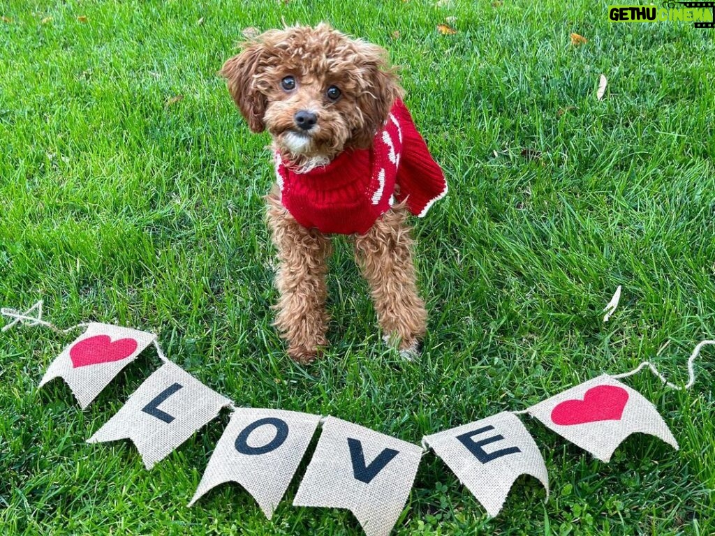 Emmy Buckner Instagram - One prop wasn’t enough oops ❤️ Happy Valentine’s Day!