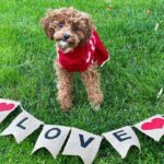 Emmy Buckner Instagram - One prop wasn’t enough oops ❤️ Happy Valentine’s Day!